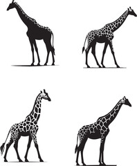 Zahara Giraffe Vector Illustration – Elegant and Whimsical Safari Animal Character