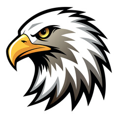 Fototapeta premium Eagle-head-on-white-background 