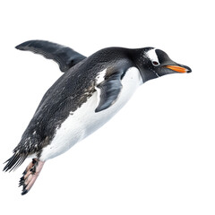 graceful penguin gliding through water, showcasing its sleek black and white feathers and distinctive orange beak. This aquatic bird embodies beauty of marine life