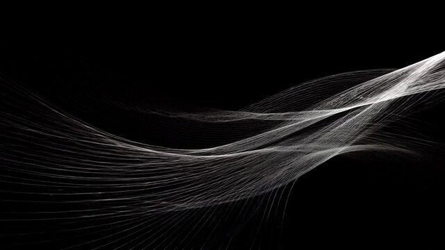 抽象的な黒と白のダイナミックな線と曲線が動きと奥行きを感じるデザイン