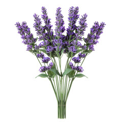 Obraz premium beautiful bouquet of lavender flowers, showcasing vibrant purple blooms and lush green leaves, perfect for adding touch of elegance and tranquility to any space