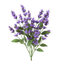 Obraz premium beautiful bouquet of purple flowers with green leaves, showcasing vibrant colors and delicate petals, perfect for decoration or floral arrangements
