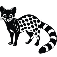 common genet vector