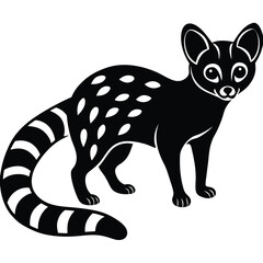 common genet vector