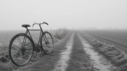 Obraz premium Foggy rural path, vintage bicycle on the side.
