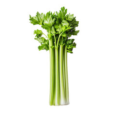A bunch of fresh, vibrant green celery stalks, ready for consumption.
