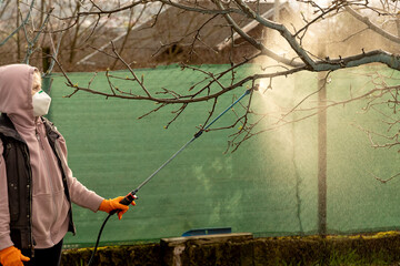 Woman spraying fungicides on a flowering fruit tree against plant and pest diseases. Used...
