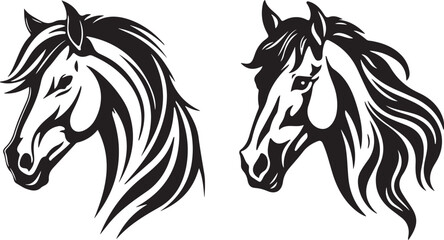 black and white horse