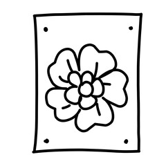 set of fruit and vegetable vector icons with line icons