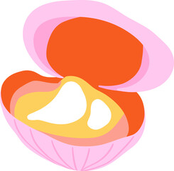 Hand Drawn Clam and Pearl