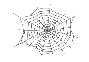 Obraz premium Spiderweb illustration graphic isolated on white background