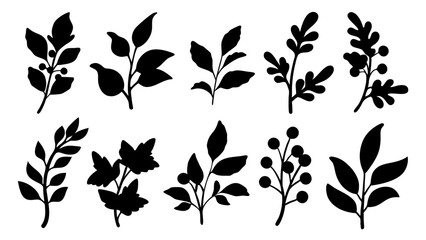 set of botanical plant silhouette vector on white background