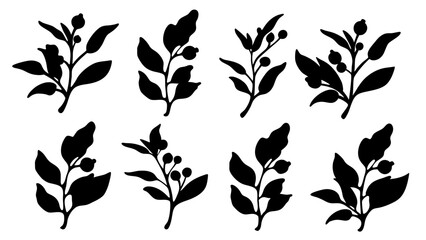 set of botanical plant silhouette vector on white background