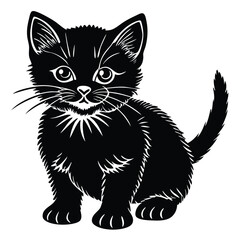 A cute, young, black and white tabby kitten, a funny feline pet, is sitting isolated on a white background