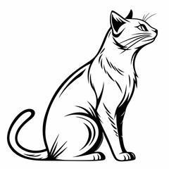 Let me know if you&rsquo;d like a shorter or more playful version!