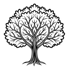  Stylish Bay Tree Illustration Art