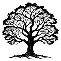 Obraz premium Stylish Blackthorn Tree Illustration with Bold Outline