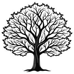 Obraz premium Bold Bradford Pear Tree Illustration on White Background
