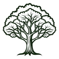 Fototapeta premium Creative Camphor Tree Bold Design