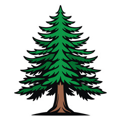  Charming Canadian Hemlock Tree Illustration