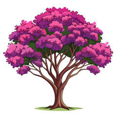 Obraz premium Bold Crape Myrtle Tree Illustration on White Background