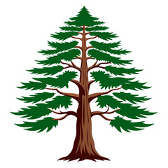  Impressive Deodar Cedar Tree Vector Design