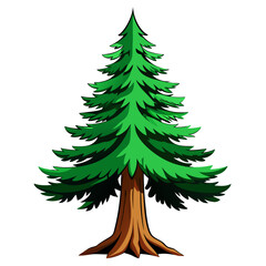  Stylish Douglas Fir Tree Vector Design