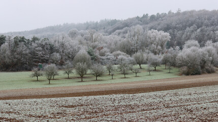 Winterlandschaft
