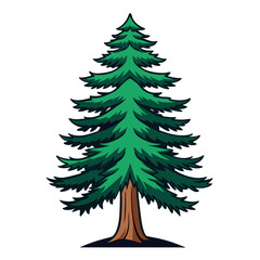  Elegant Eastern White Pine Tree Illustration Design