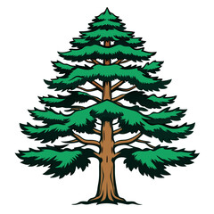  Majestic Eastern White Pine Tree Illustration