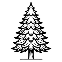  Bold Fir Tree Illustration with Elegant Outlines