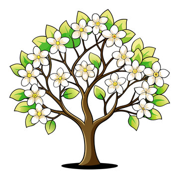 blooming tree white flowers green leaves clip art preview