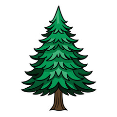 Obraz premium Fraser Fir Tree Design with Bold Outline