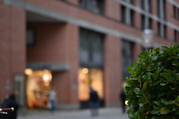 city ​​street urban landscape bokeh background
