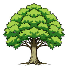  Elegant Hackberry Tree Illustration Design