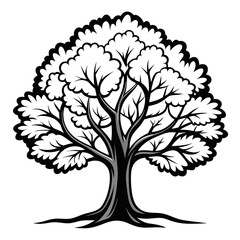  Impressive Hickory Tree Vector Design