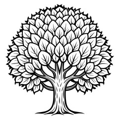 Obraz premium Stylish Lychee Tree Graphic