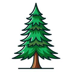  Impressive Norway Spruce Tree Illustration
