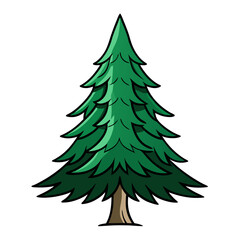  Stunning Bold Outline of Norway Spruce