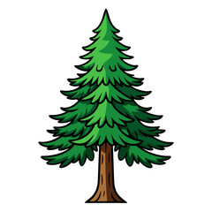  Vivid Pine Tree Illustration