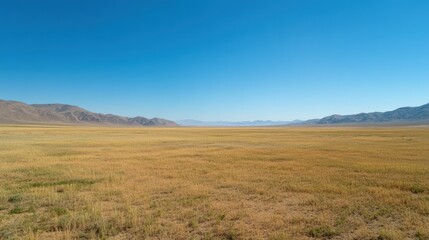 Expansive golden grassland stretching towards distant mountains under blue sky