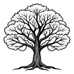 Obraz premium Bright Sassafras Tree Illustration with Strong Outline
