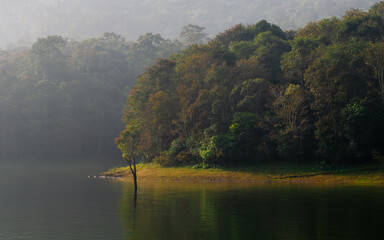 Beautiful lake and lust green forest of Periyar National Park and Wildlife Sanctuary from Kerala,...