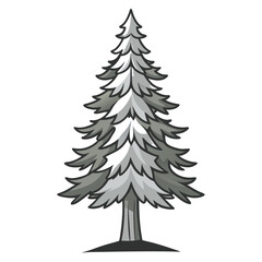  Vivid Silver Fir Tree Illustration