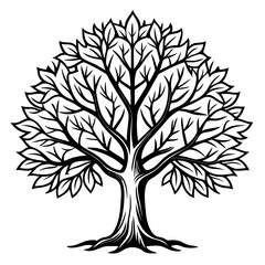 Obraz premium Charming Silver Maple Tree Graphic