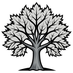 Obraz premium Elegant Silver Maple Tree Artwork