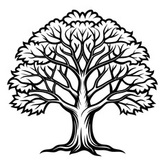  Elegant Sourwood Tree Artwork