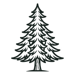  Stunning Bold Design of Spruce Tree