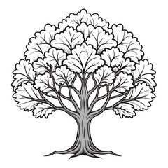  Stunning Outline of Sweet Bay Tree