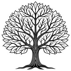 Obraz premium Bold Thornless Honey Locust Tree Illustration with Clear Outline
